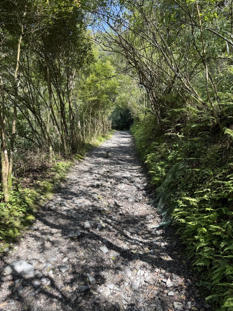 2025/03/21 聖母山莊 抹茶山 三角崙山_2935085