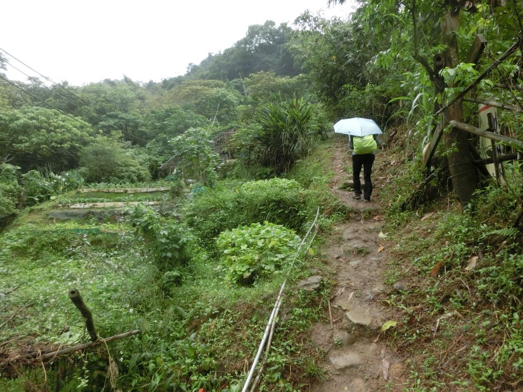 豹山溪步道．獅山．象山．和興炭坑_199011