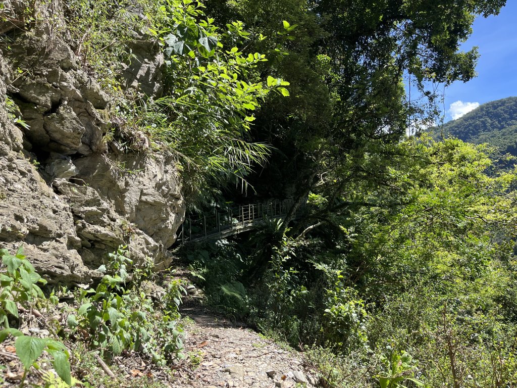 [玉山尋寶任務-03/12] 2025_0810 瓦拉米步道_2857721