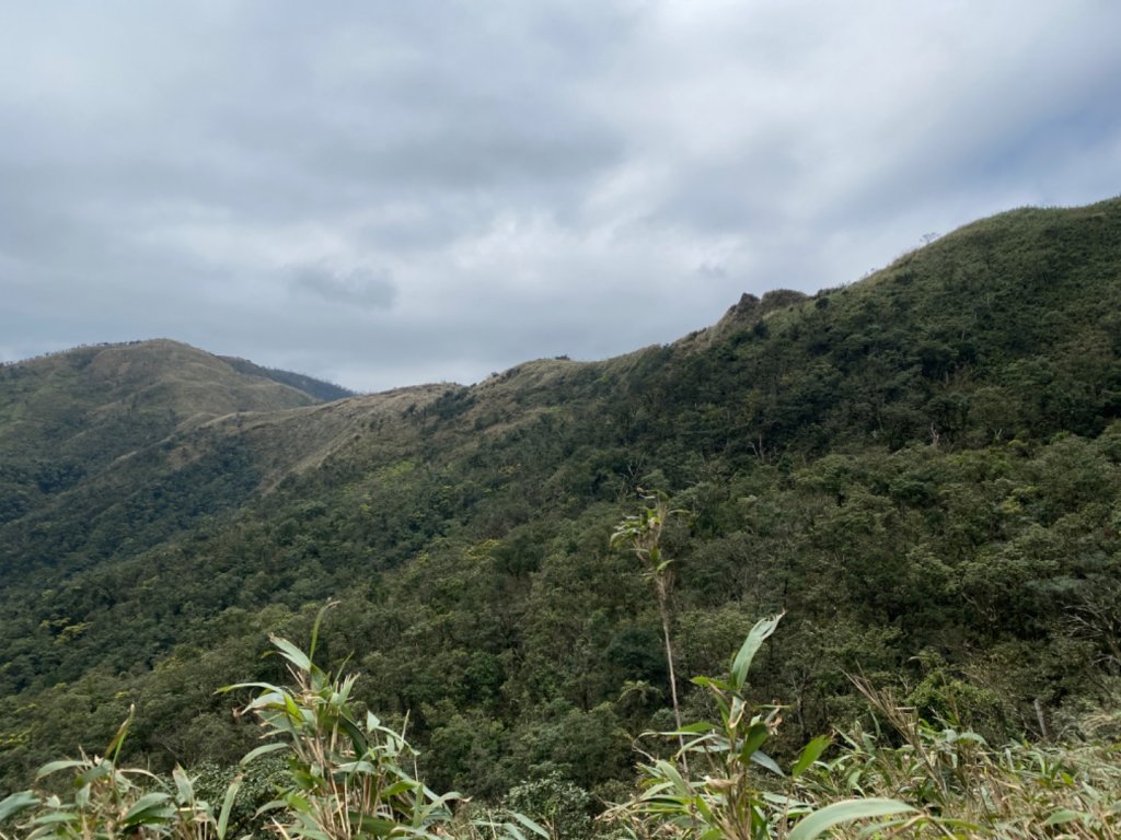 步道巡訪員│聖母山莊登山步道二月份巡訪_851611