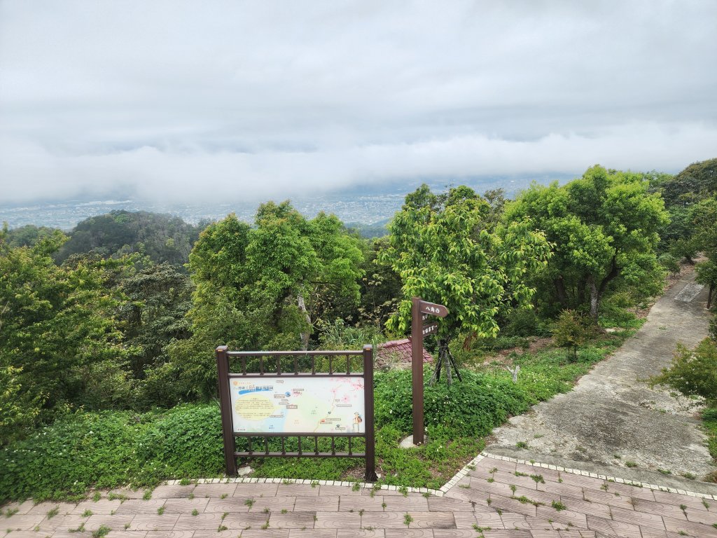 20250329東坑山八角崠山打鹿坑山_2798908