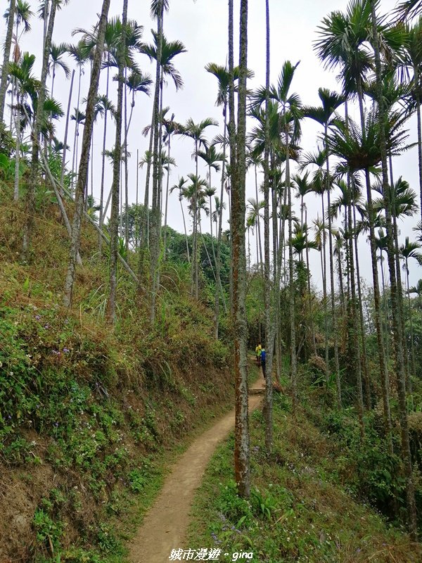 山林野宴之步道健行。 奉天岩~大巃頂步道_1321341