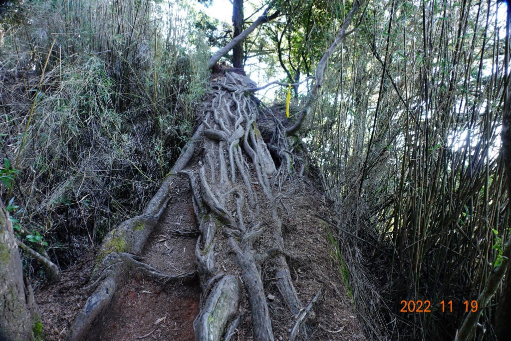 南投 信義 西巒大山_1922356