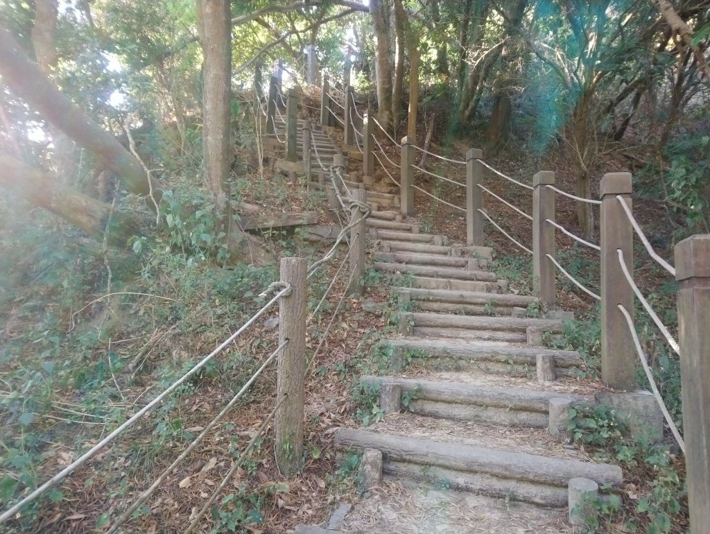 新田五星級登山步道-聚興山 小百岳040_755651