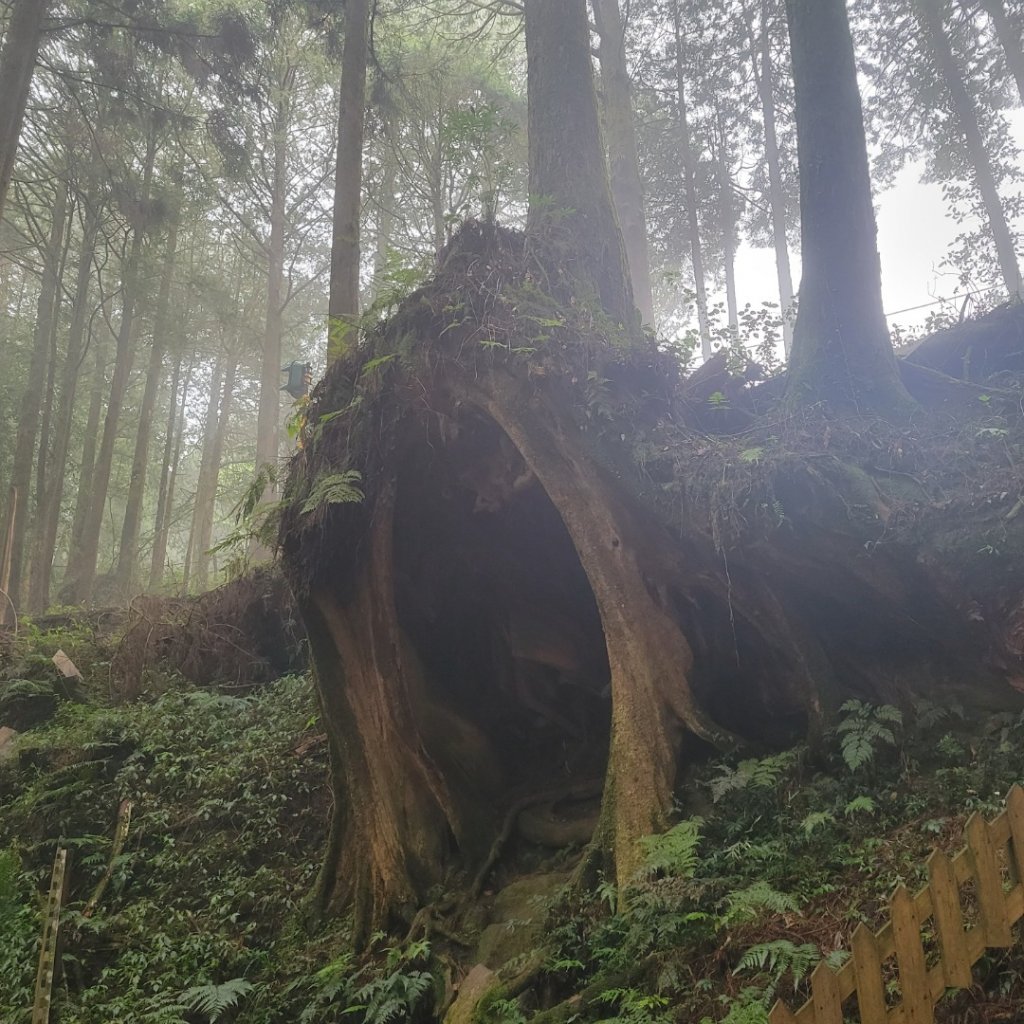 塔山步道(小百岳)_2123282