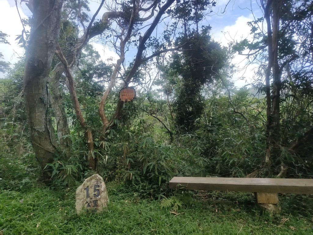 南仁湖_2460081
