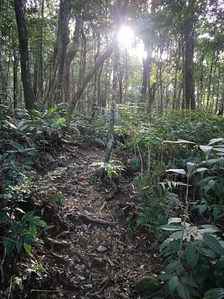 202009 組合山，雲森四瀑_1105967