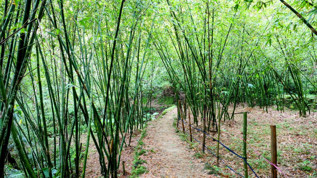 三貂嶺瀑布群,野人谷瀑布群_2832473