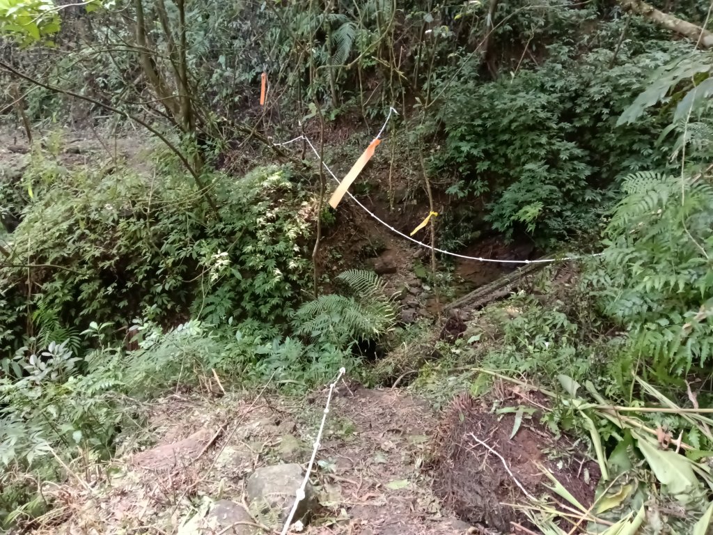 雙溪區大平林山+后番子坑古厝+后番子坑山+武山煤礦事務所+焦炭窯O型_2988648