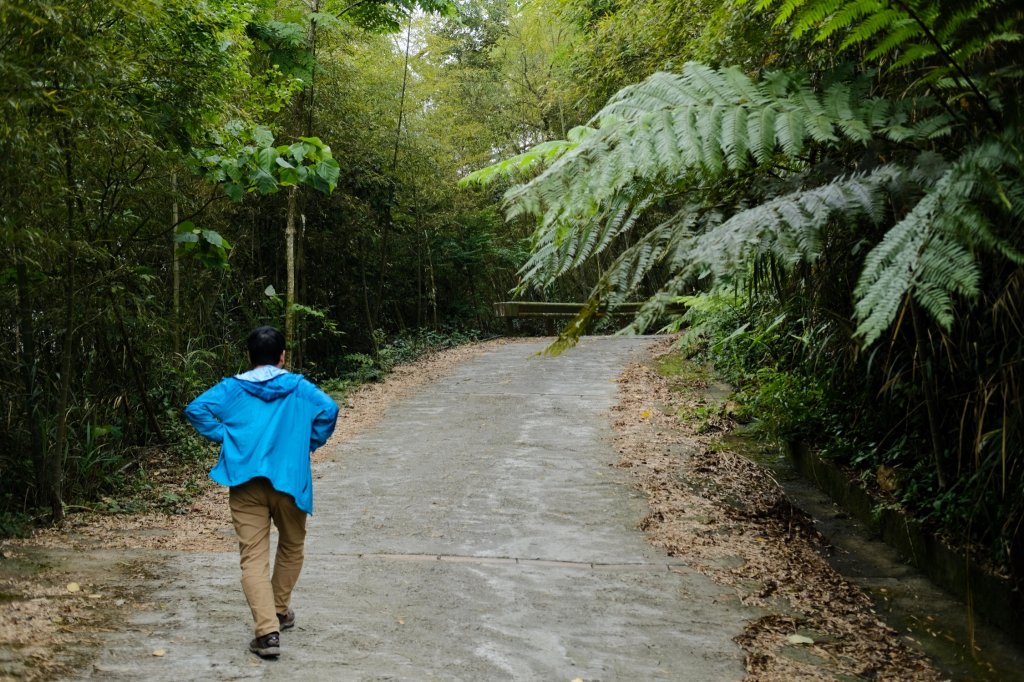 【雲林-嘉義】挑筍古道，車心崙步道_897747