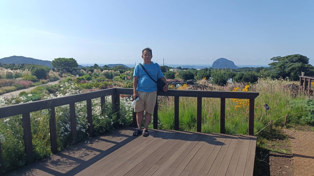 韓國濟州島：山茶花之丘封面圖