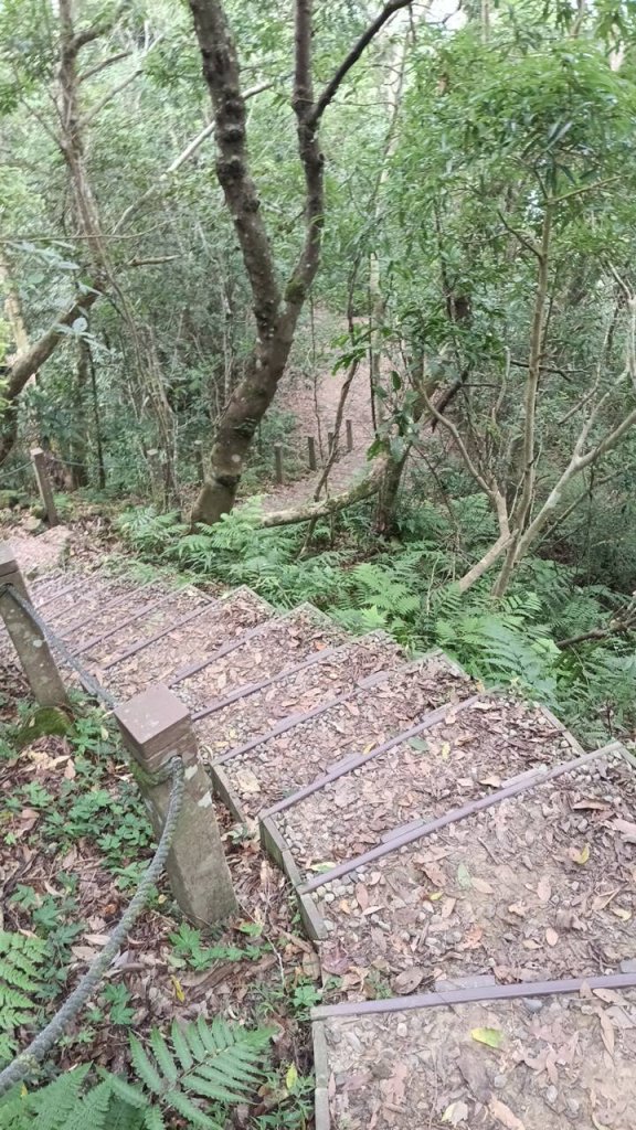 20251004 馬那邦山 - 珠湖 登山口_2904765
