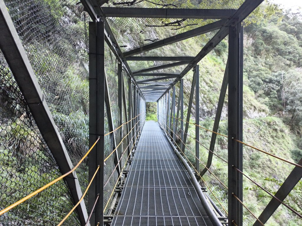 [玉山尋寶任務-07/12] 2025_0824 八通關雲龍瀑布步道_2870527