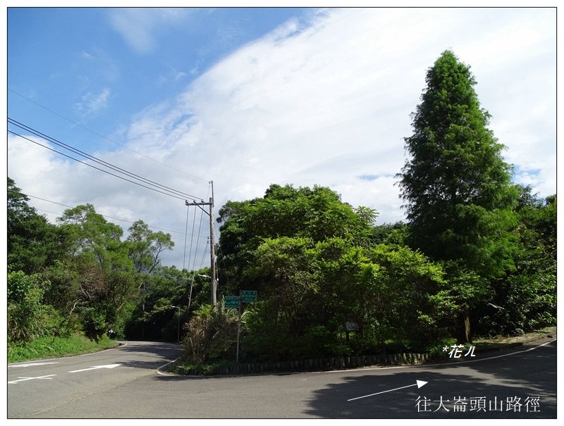 大崙頭尾山(小百岳)_657706