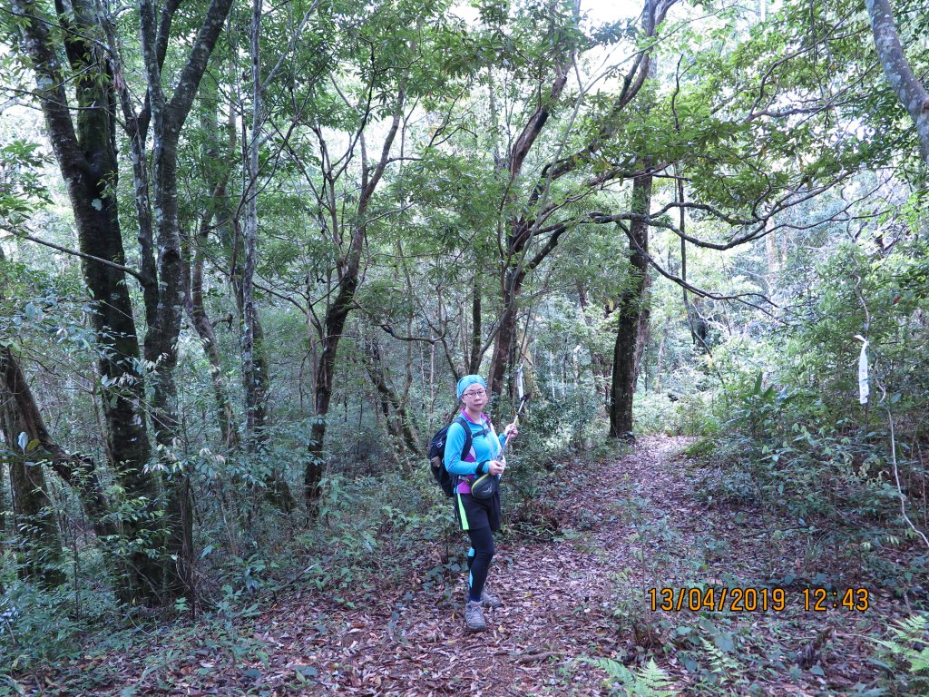 屯野生台山與石麻達山連走_566462