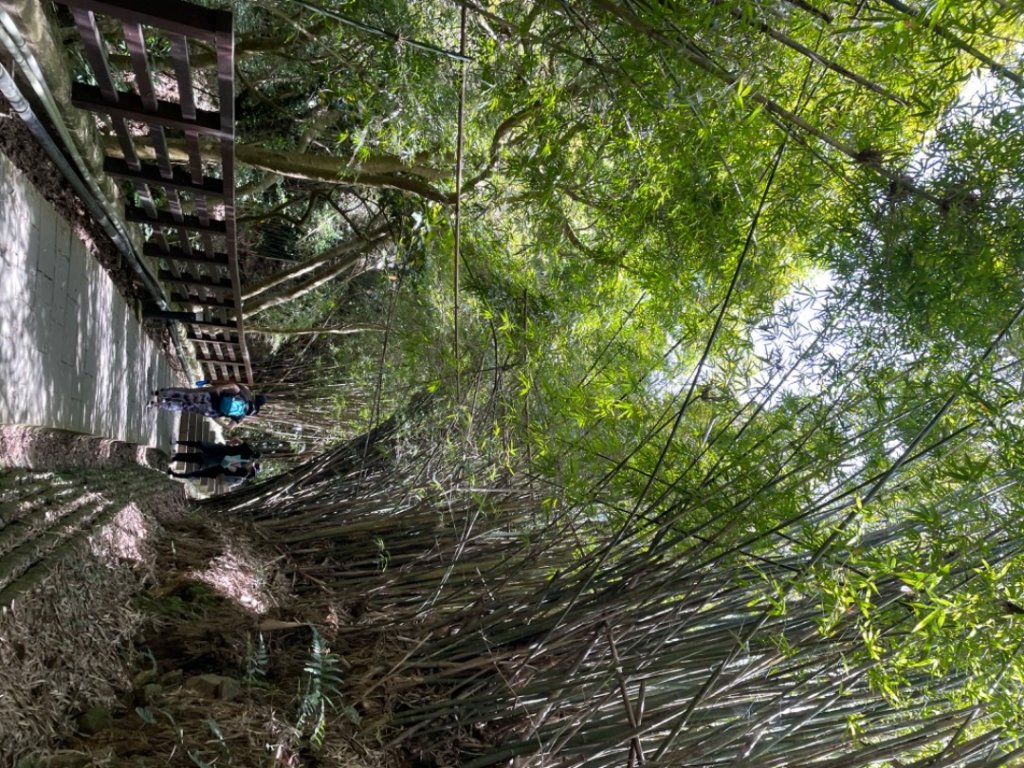 觀音山慈悲路_2115710