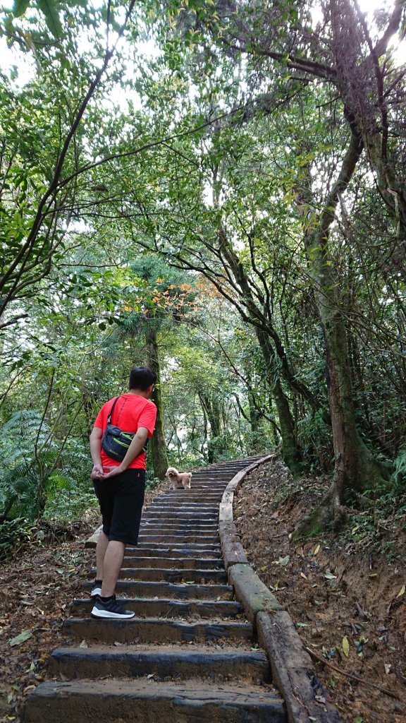 姜子寮山步道&姜子寮絕壁步道_549633