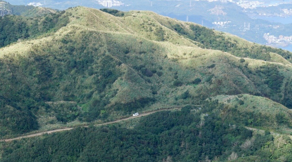 【金瓜石】漫山芒花怒放浪漫，礦山藍海奇景夢幻！_2964306