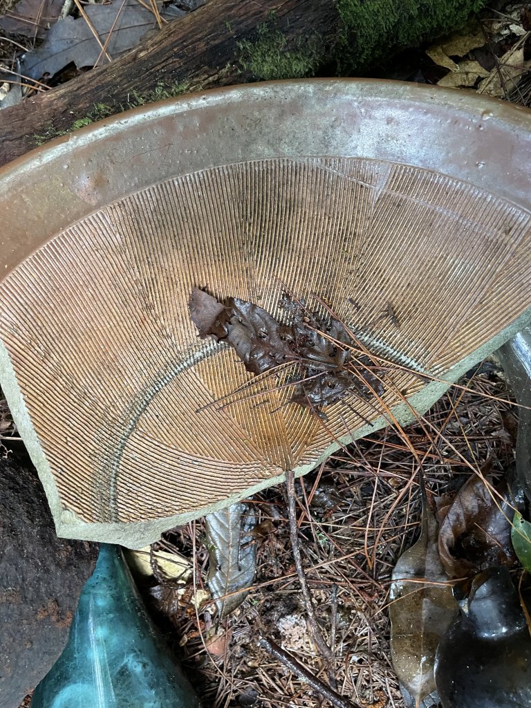 高嶺古道登結城山_1818926