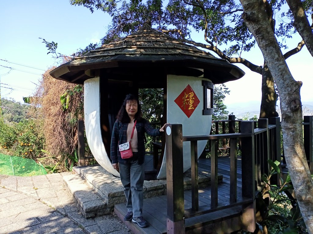 【臺北大縱走 7】貓空站→樟樹、飛龍步道_1254292
