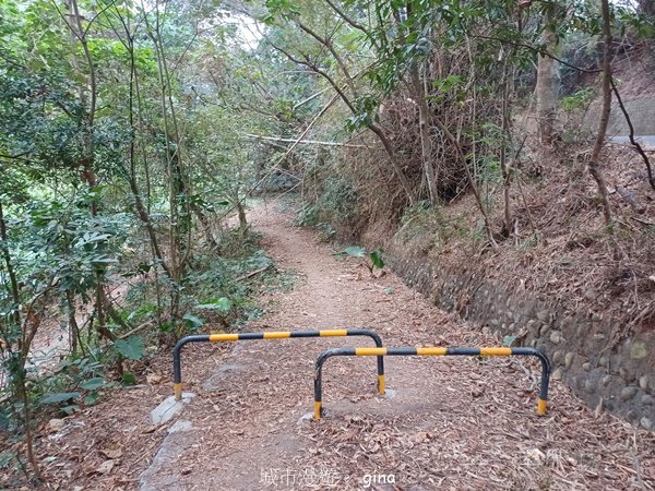 【彰化社頭】台灣百大必訪步道。 No48小百岳~橫山步道_2413515