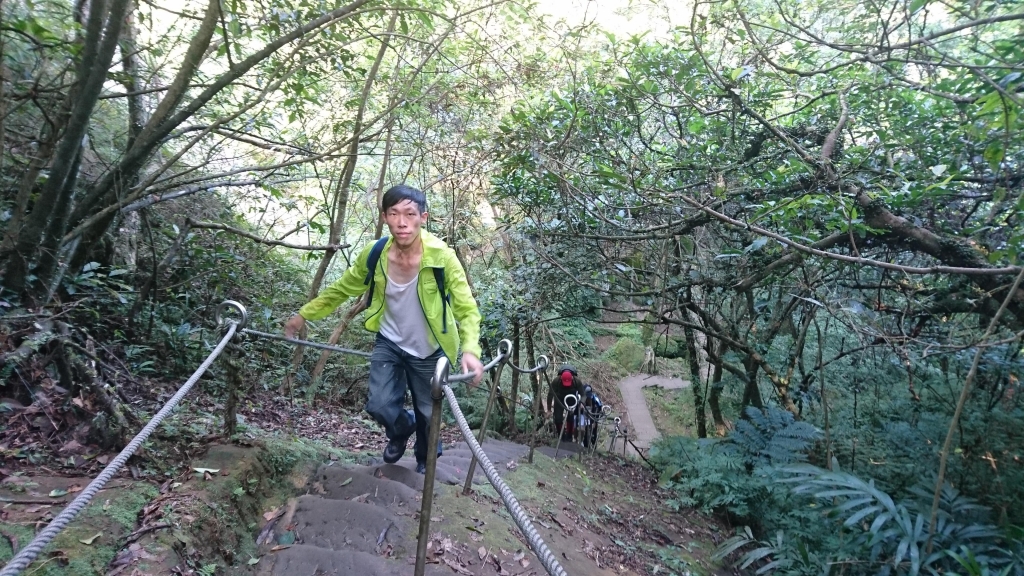 孝子山 ．慈母峰．普陀山．中央尖_52567