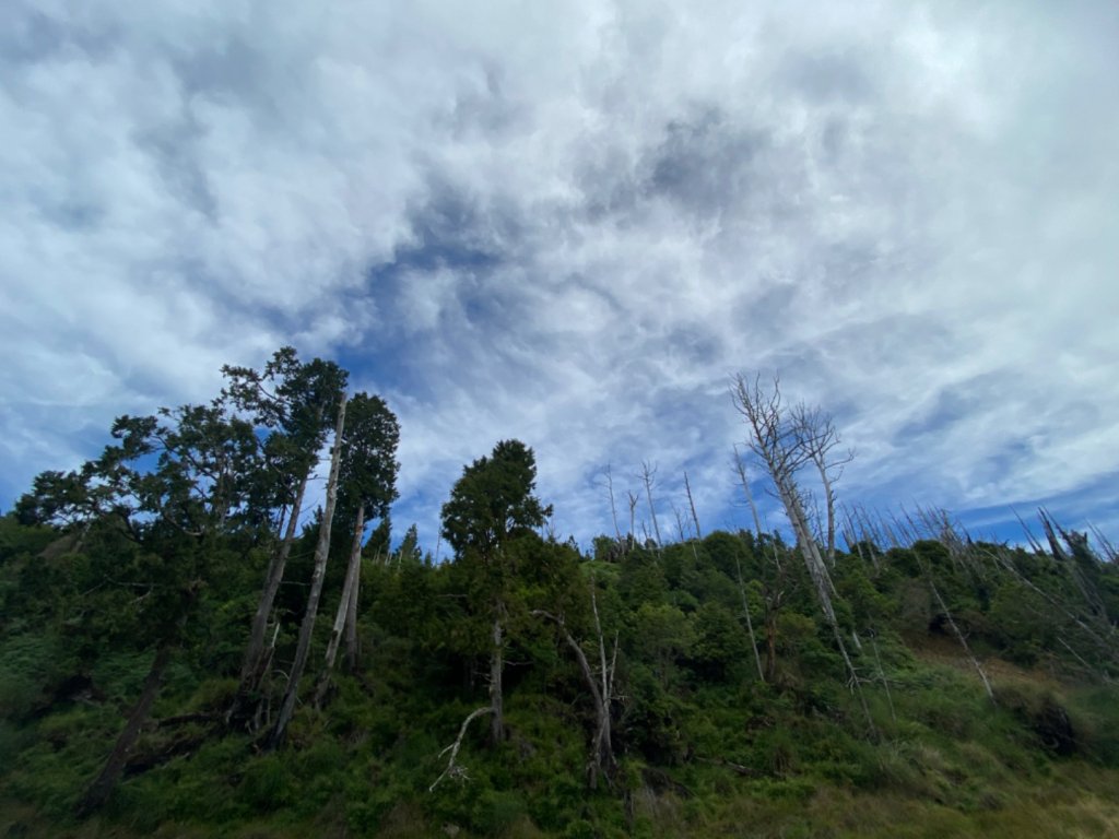 加羅湖。無與倫比的美麗與泥濘_1486342