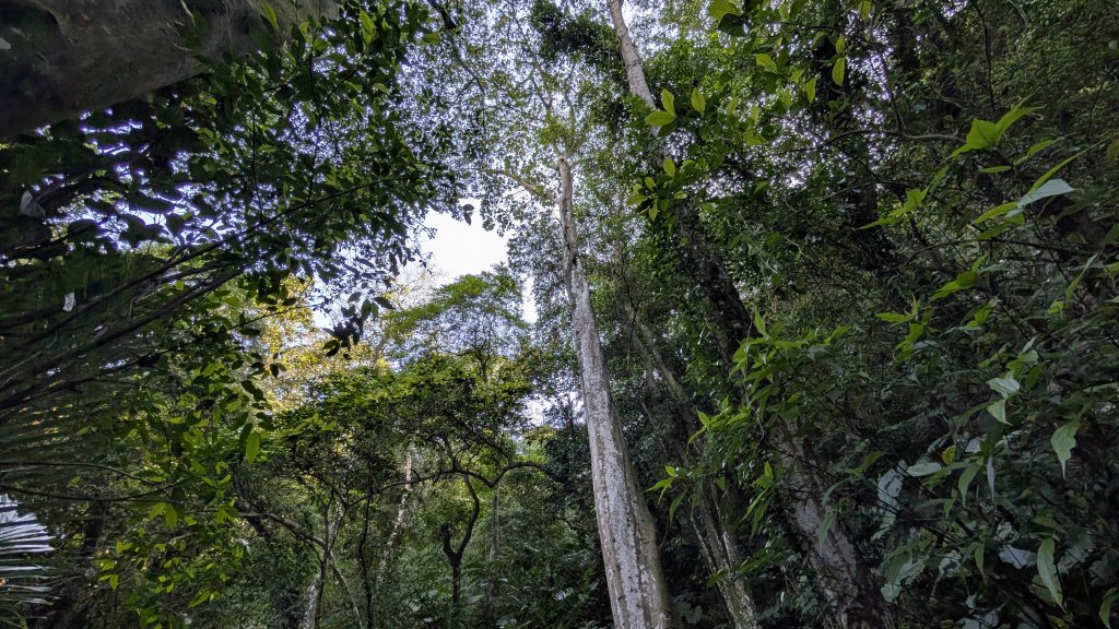114.11.22鳶山彩碧-鳶山-鳶尾山之旅_2943581