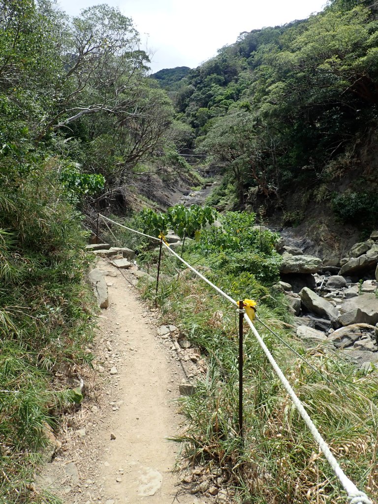 小百岳#80_里龍山_恆春半島最高峰_941973