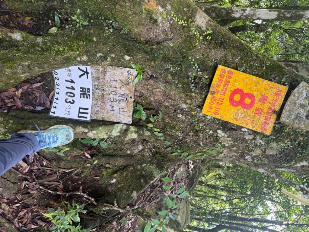 20250607 春谷養鱒場所上加里山 出大坪_2805206