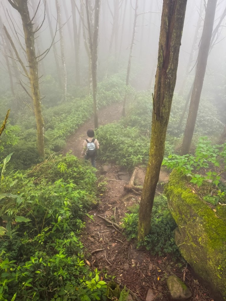 新竹五指山 - 指峰凌霄封面圖