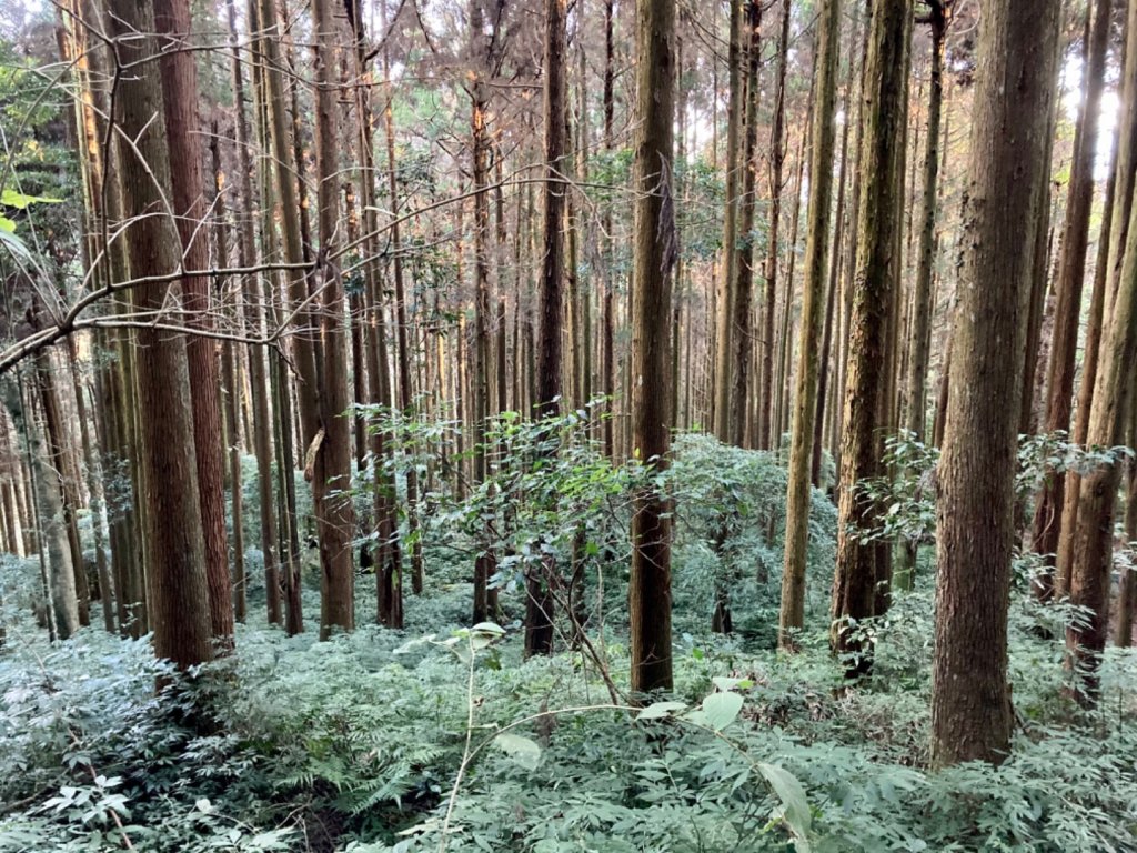 神阿縱走_1274998