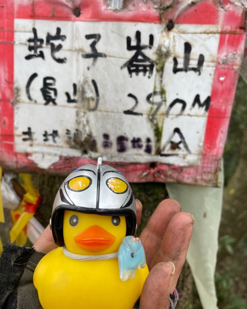 🐍來運轉-蛇子行古道-三爪坑山-蛇子崙山_2706685