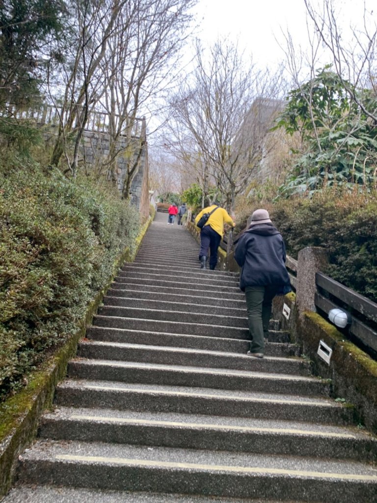 宜蘭見晴懷古步道與太平山_832804