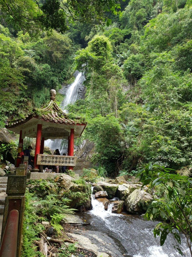 抹茶山~聖母山莊封面圖