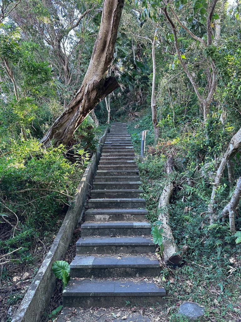 和美山螢火蟲段_2873329