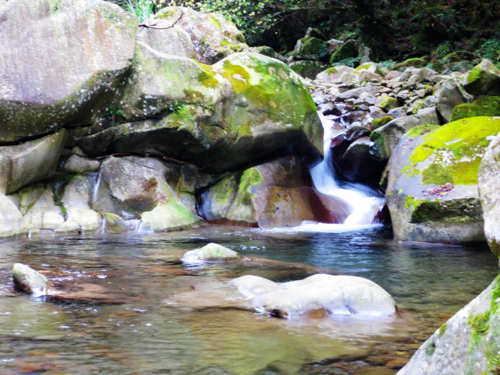 我的心遺留在哈堪尼 楓美溪_1406114