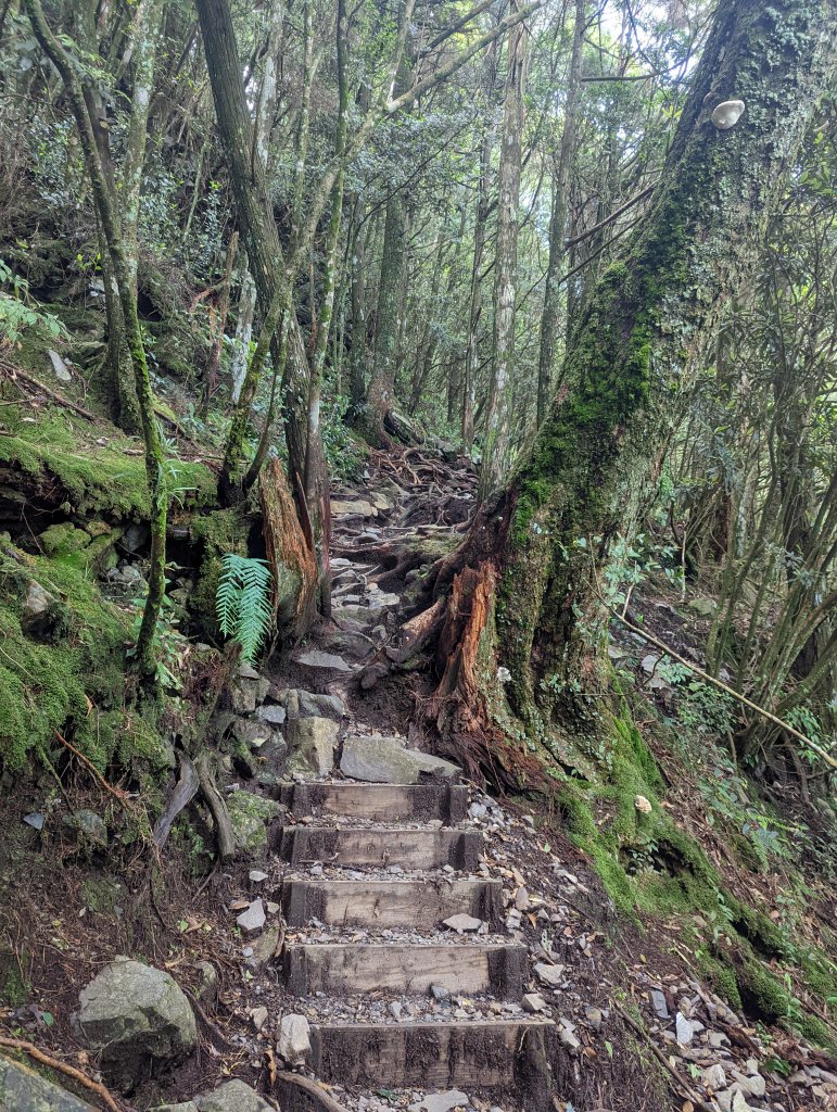 谷關七雄：八仙山_1744117