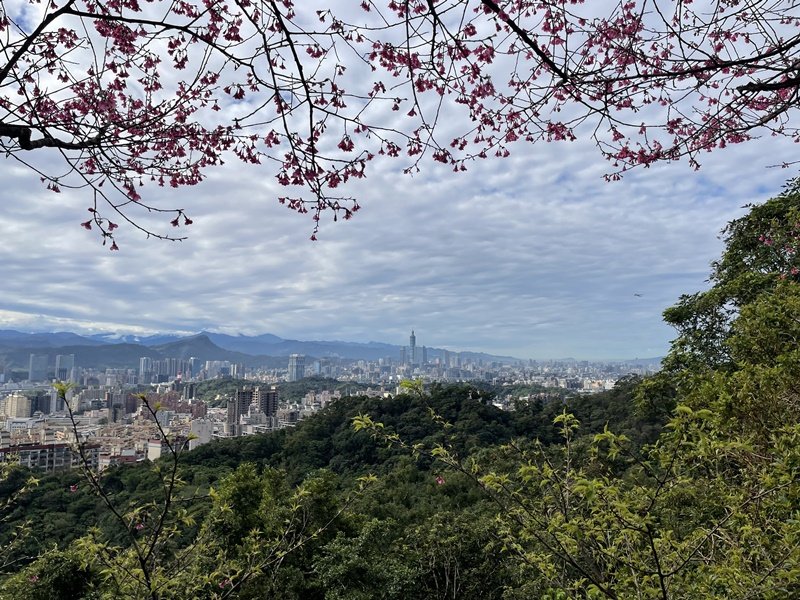 大湖翠湖金龍湖_2711895