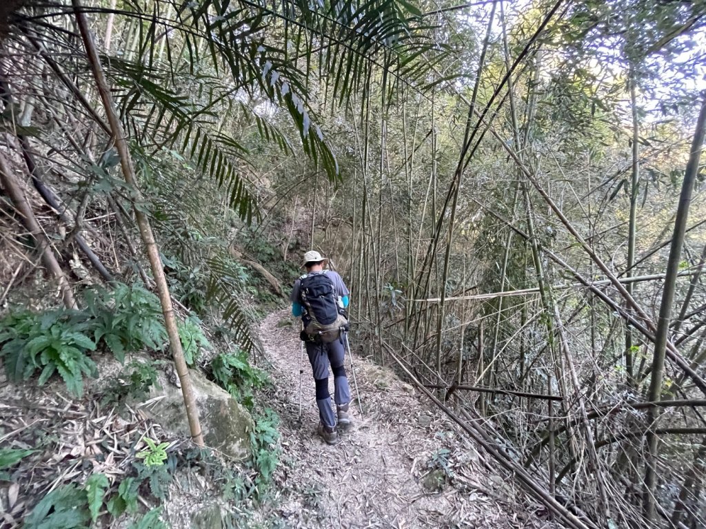 1141207金童山_2957716