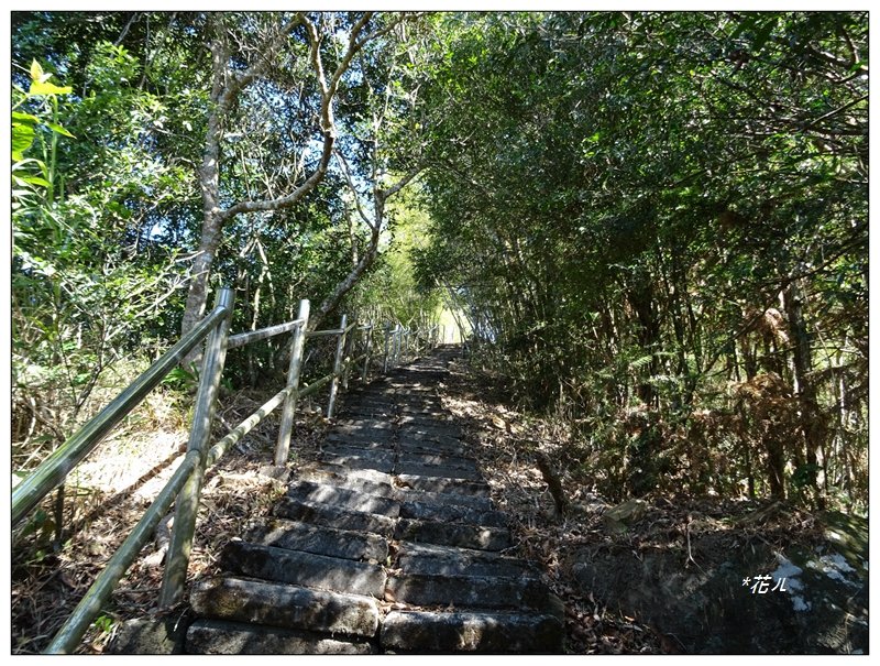 大湖尖山(小百岳)_1276510