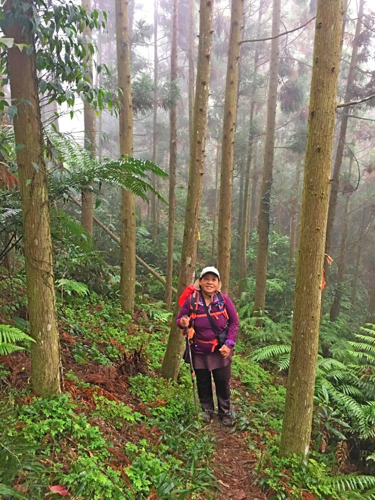 霧雨濛濛上坪山、五指山、大隘山連走   _804064