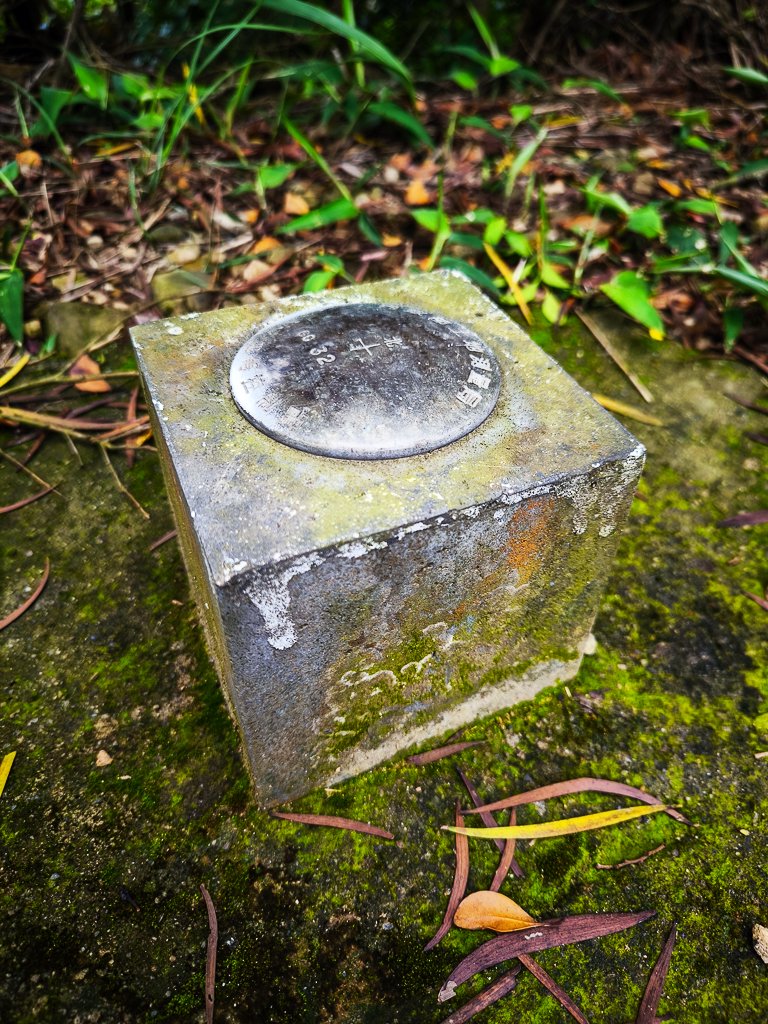 2025-04-27 三員縱走_2772092