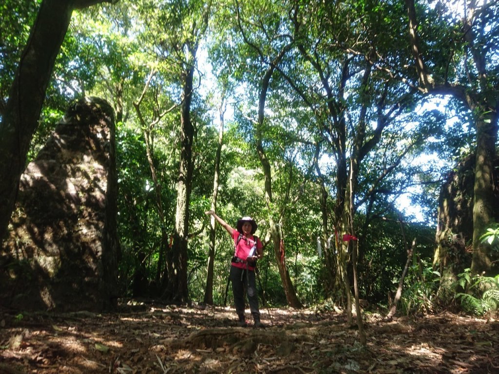 菁桐古道、耳空龜山封面圖