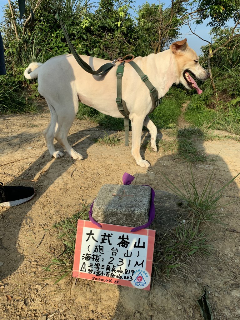 豆花大武崙山封面圖