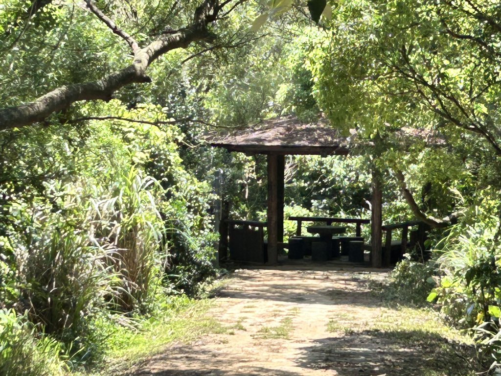 鳳崎落日步道_2799195