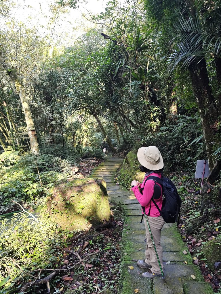 2026-0221造鎮-太極嶺-桐花公園-承天禪寺-永寧站_3005851