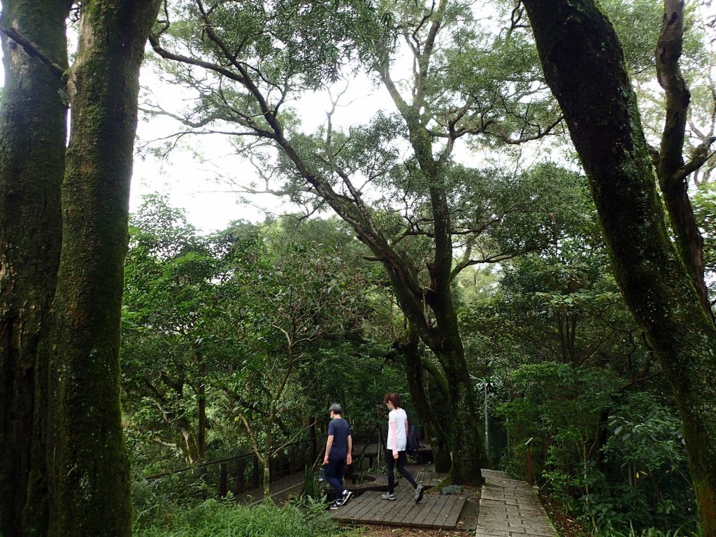 訪仙跡岩, 尋找神仙落腳的痕跡!_1740807