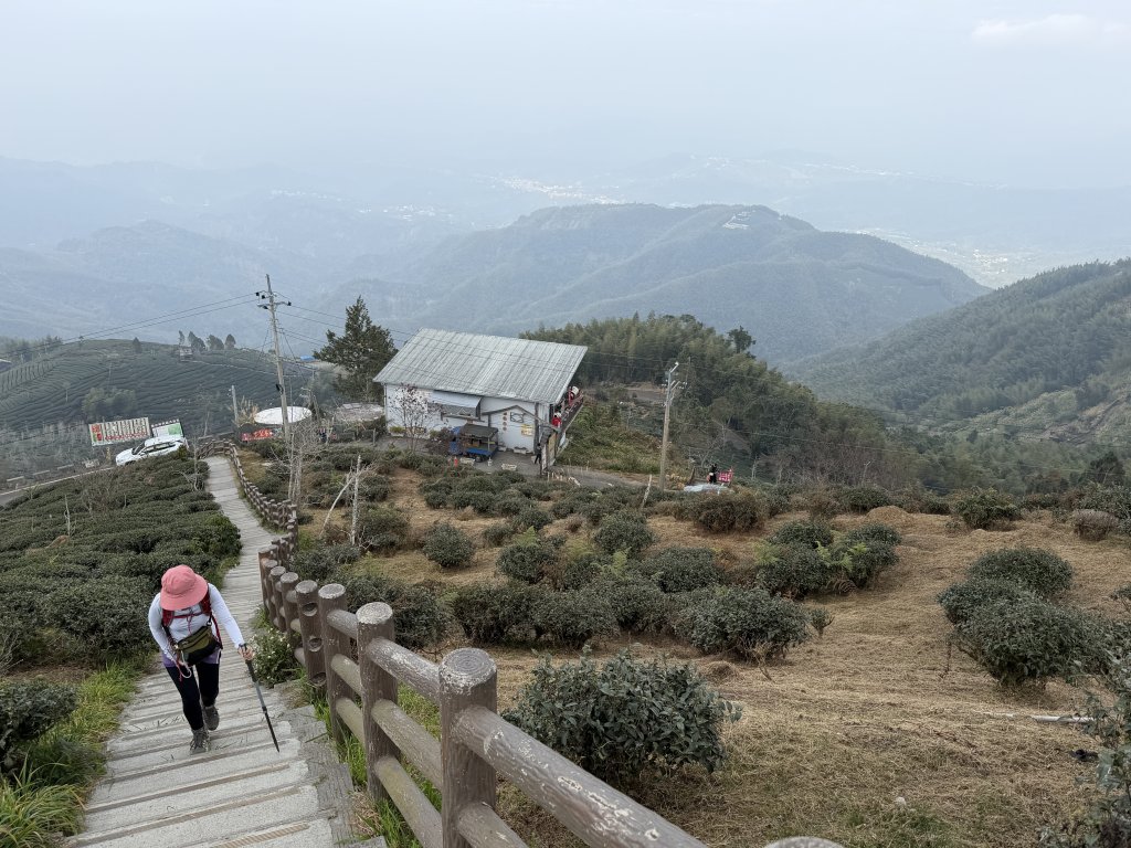 溪頭四秀+羊彎四秀20260118_2991384