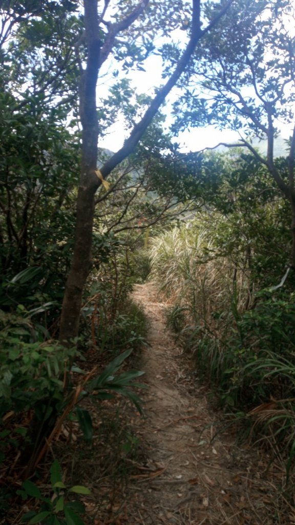 小小冒險王(小錐麓古道-小鬼瀑布)_1842686